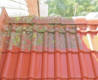 Мойка крыш и сайдинга